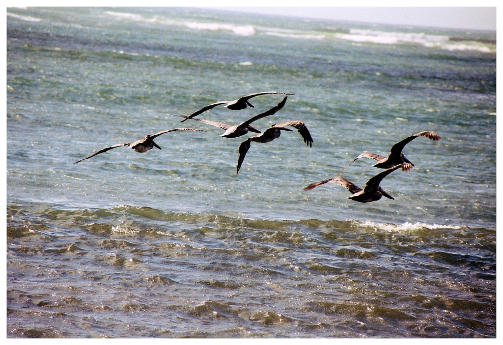 15 - Monterey Bay (10).jpg